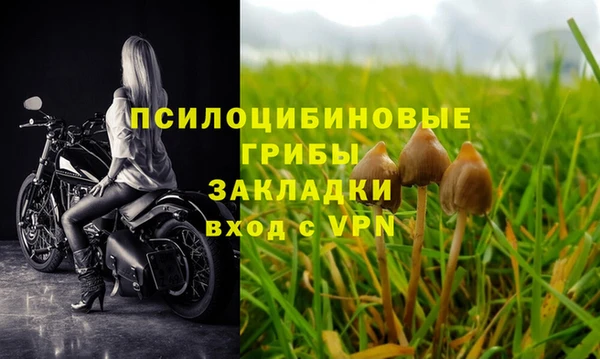 стафф Балахна
