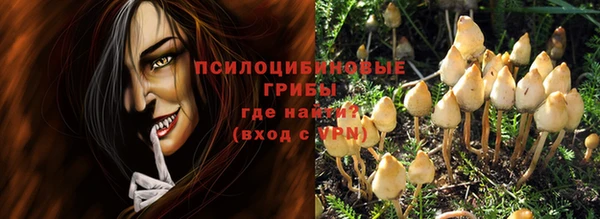 стафф Балахна